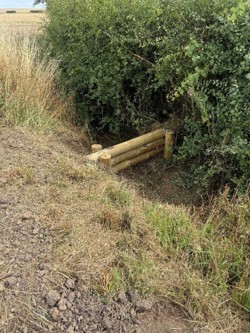 Leaky barrier made up of wooden logs in Ompton