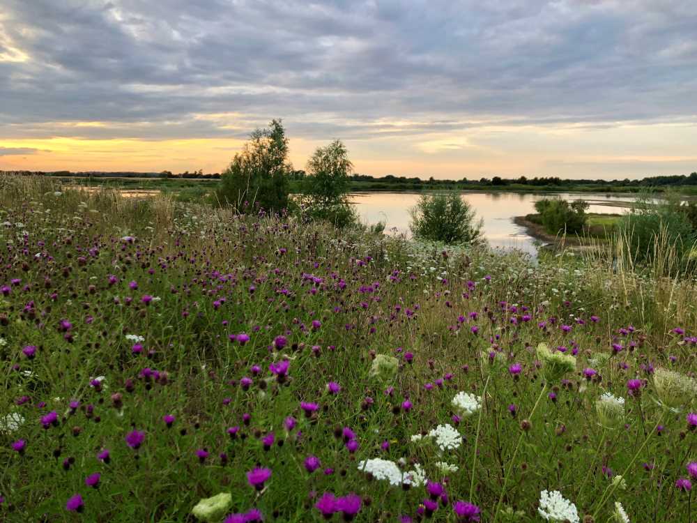  County council publishes first Biodiversity Duty Report